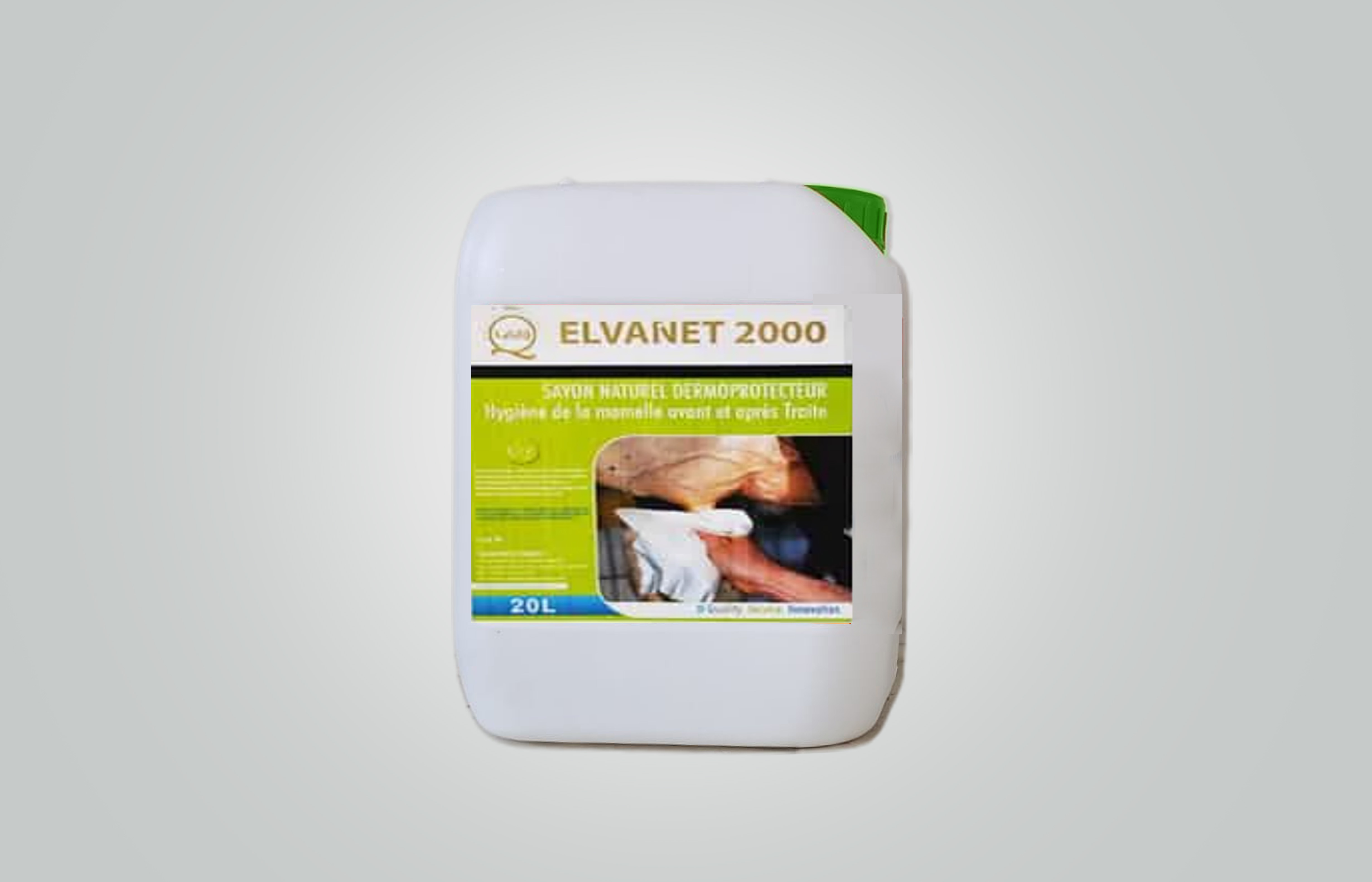 ELVANET 2000