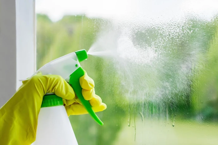 HYGIENE PROFESSIONNELLE ECOLOGIQUE 
