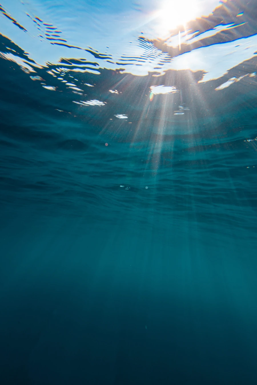 Traitement des eaux