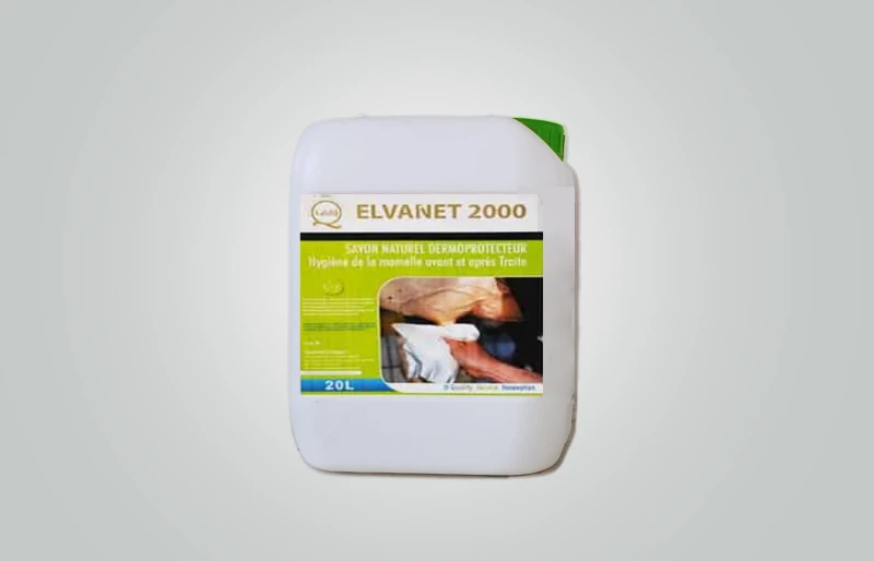 ELVANET 2000